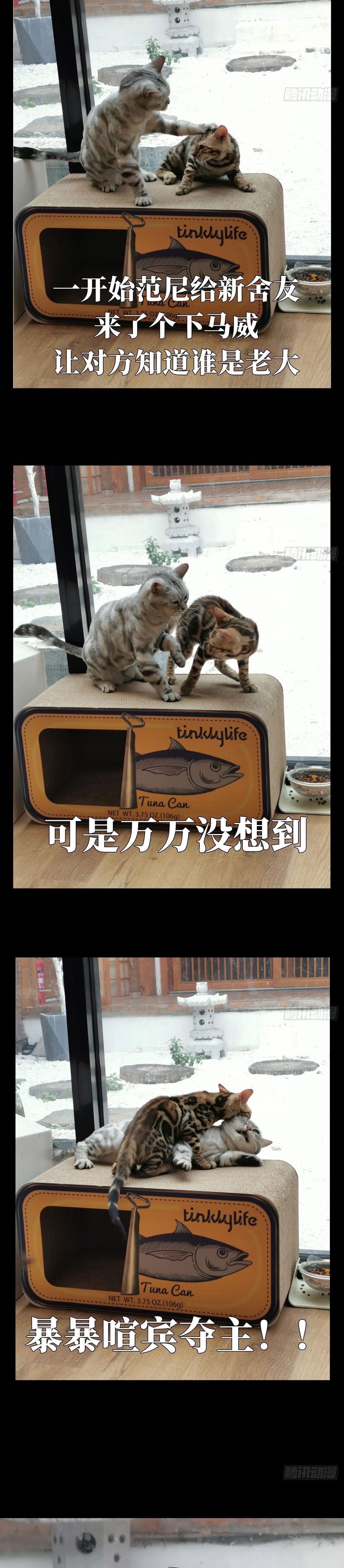 Elephant Invisible Chapter 67 Image 24