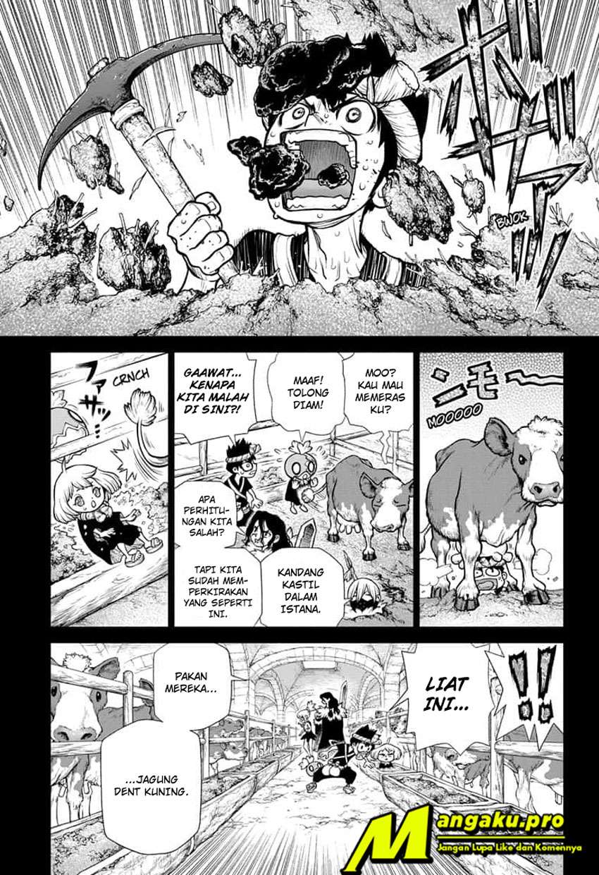 Dr. Stone Chapter 167 Image 3