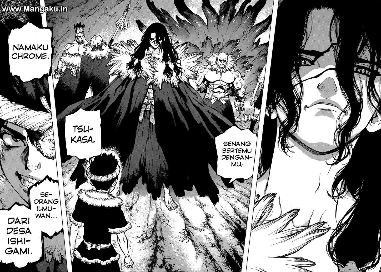 Dr. Stone Chapter 67 Image 12