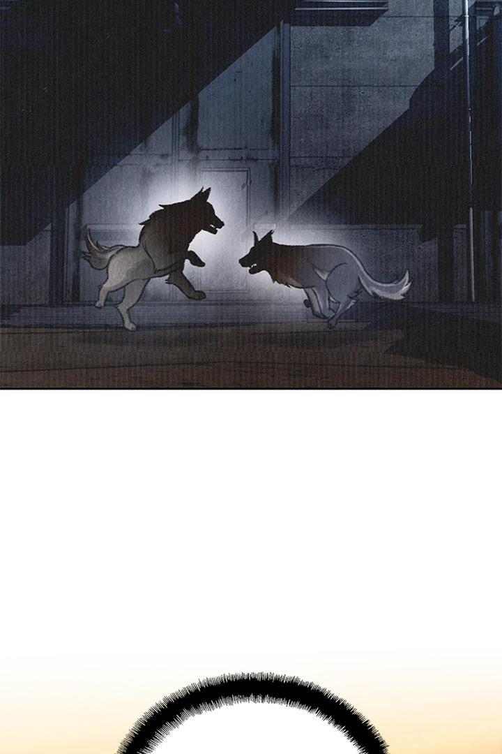 Dark Moon: The Grey City Chapter 25 Image 19