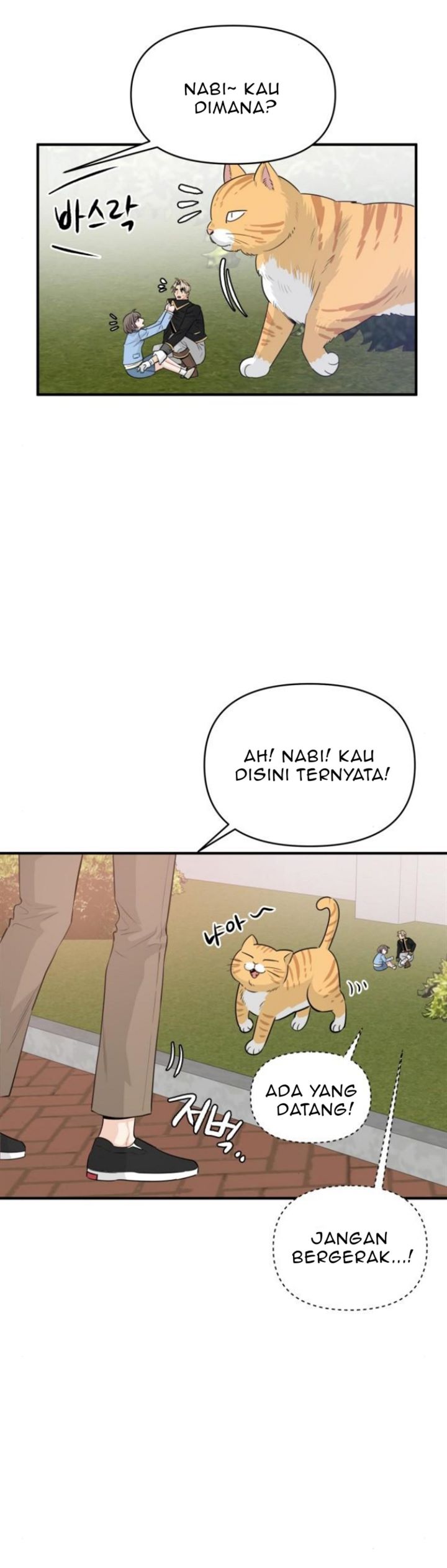Protect Me, Knight Chapter 16 Image 26
