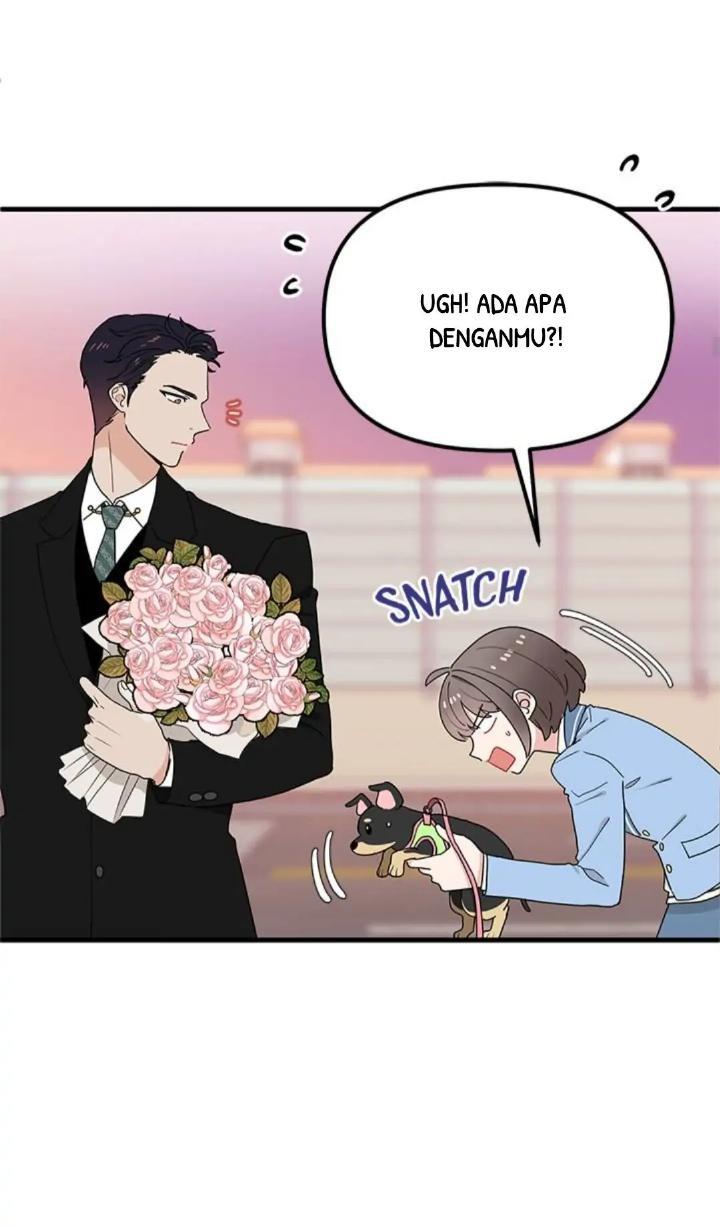 Protect Me, Knight Chapter 27 Image 29