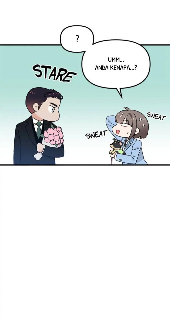 Protect Me, Knight Chapter 27 Image 33
