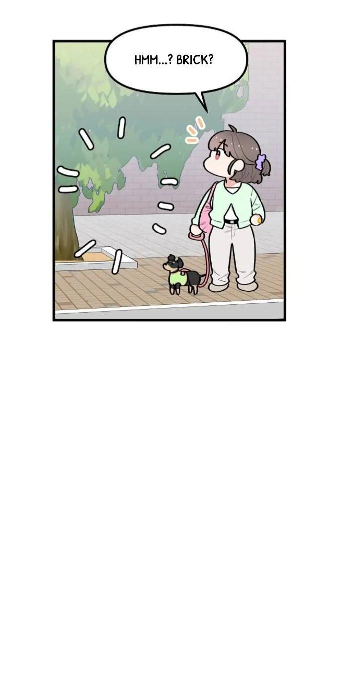 Protect Me, Knight Chapter 36 Image 33