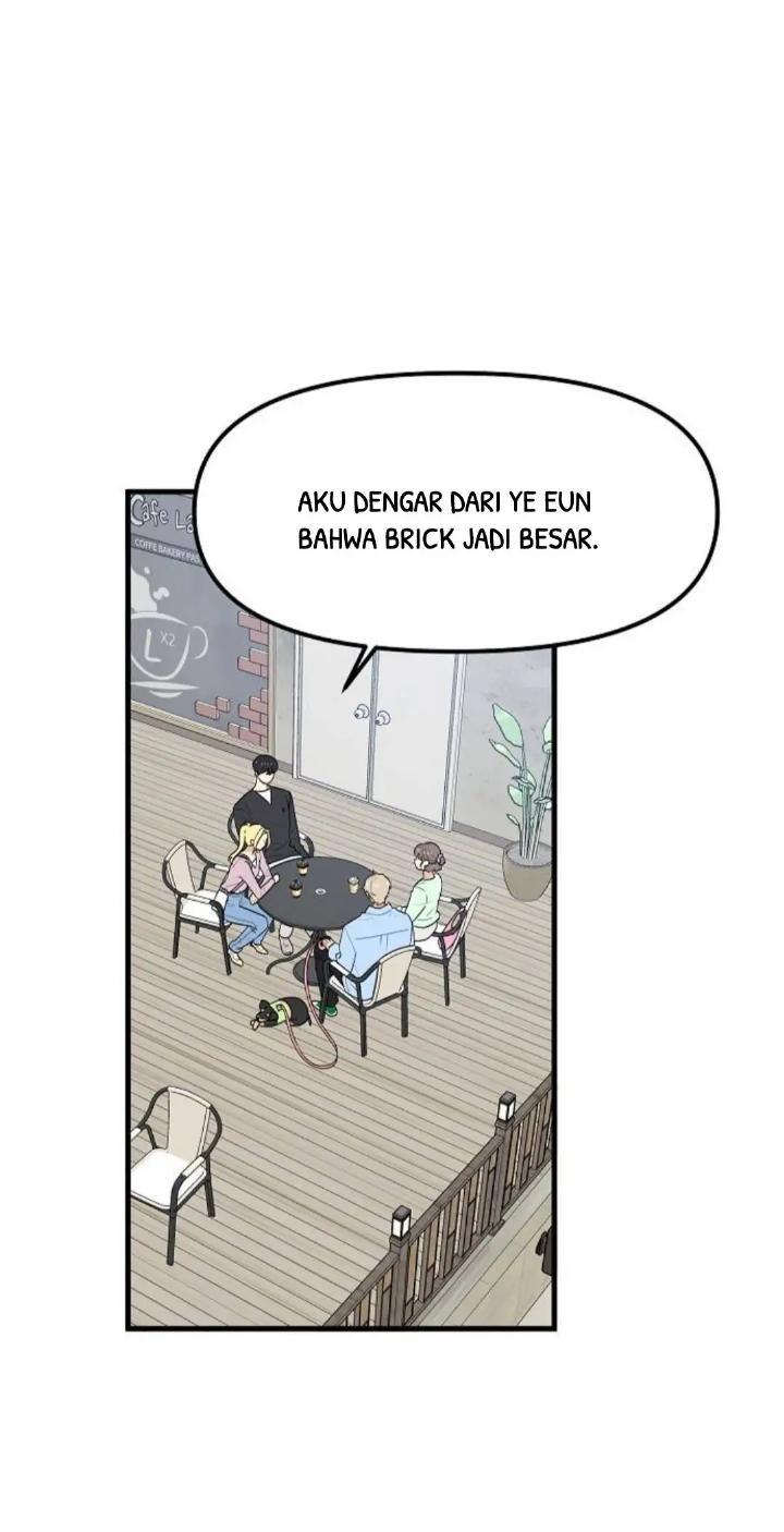 Protect Me, Knight Chapter 37 Image 19
