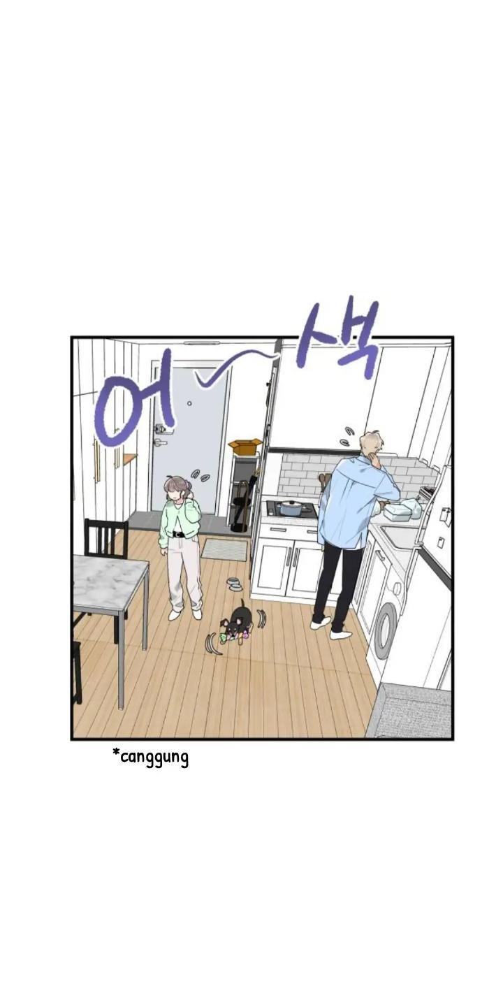 Protect Me, Knight Chapter 39 Image 18