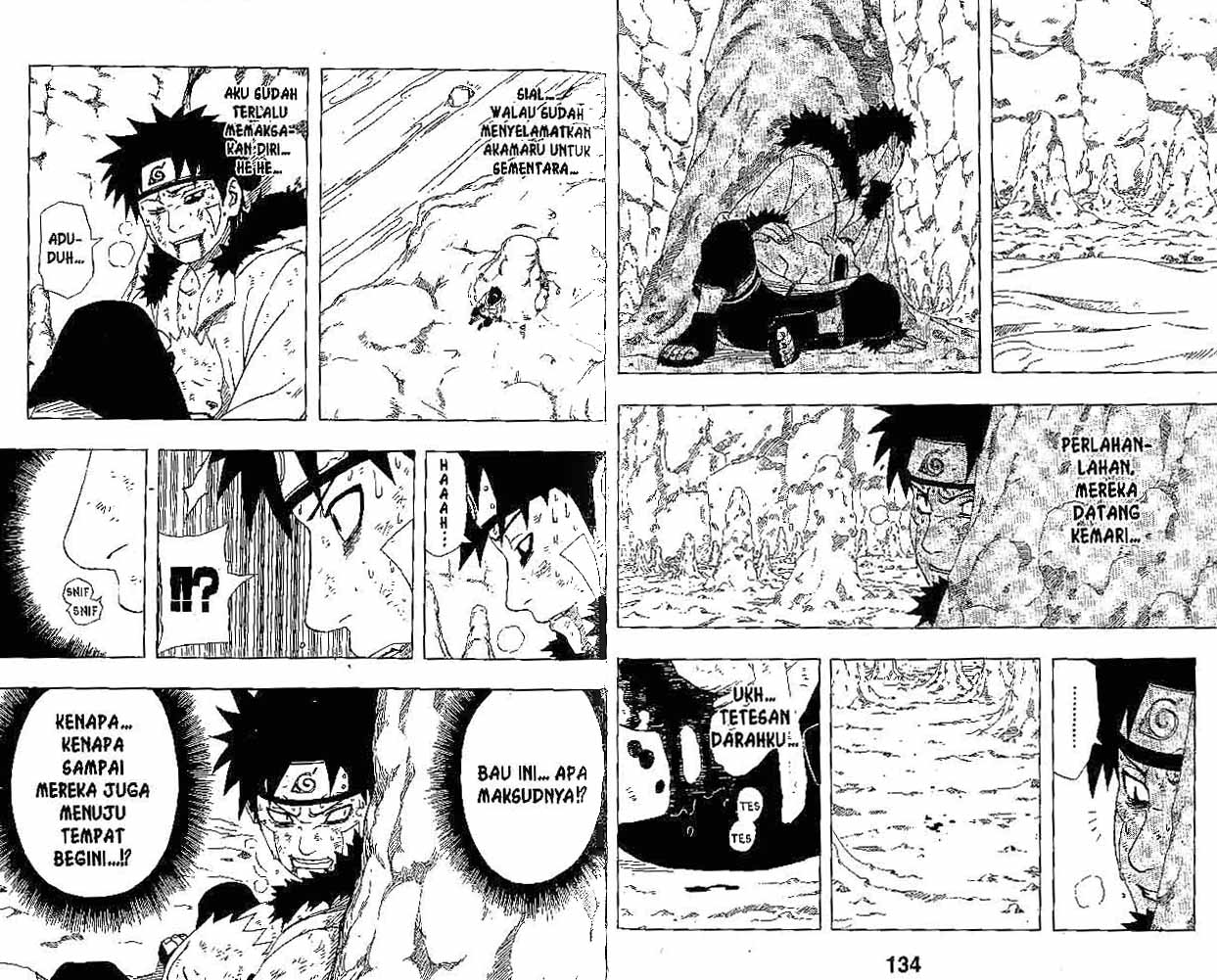 Naruto Chapter 206 Image 5