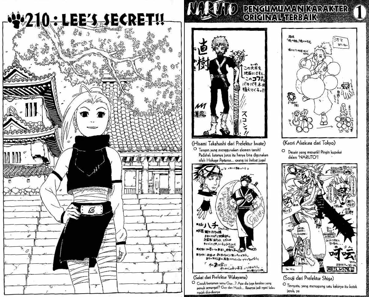 Naruto Chapter 210 Image 0