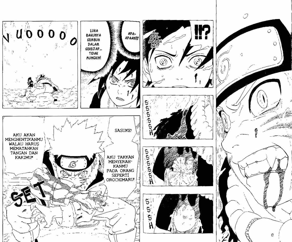 Naruto Chapter 228 Image 9