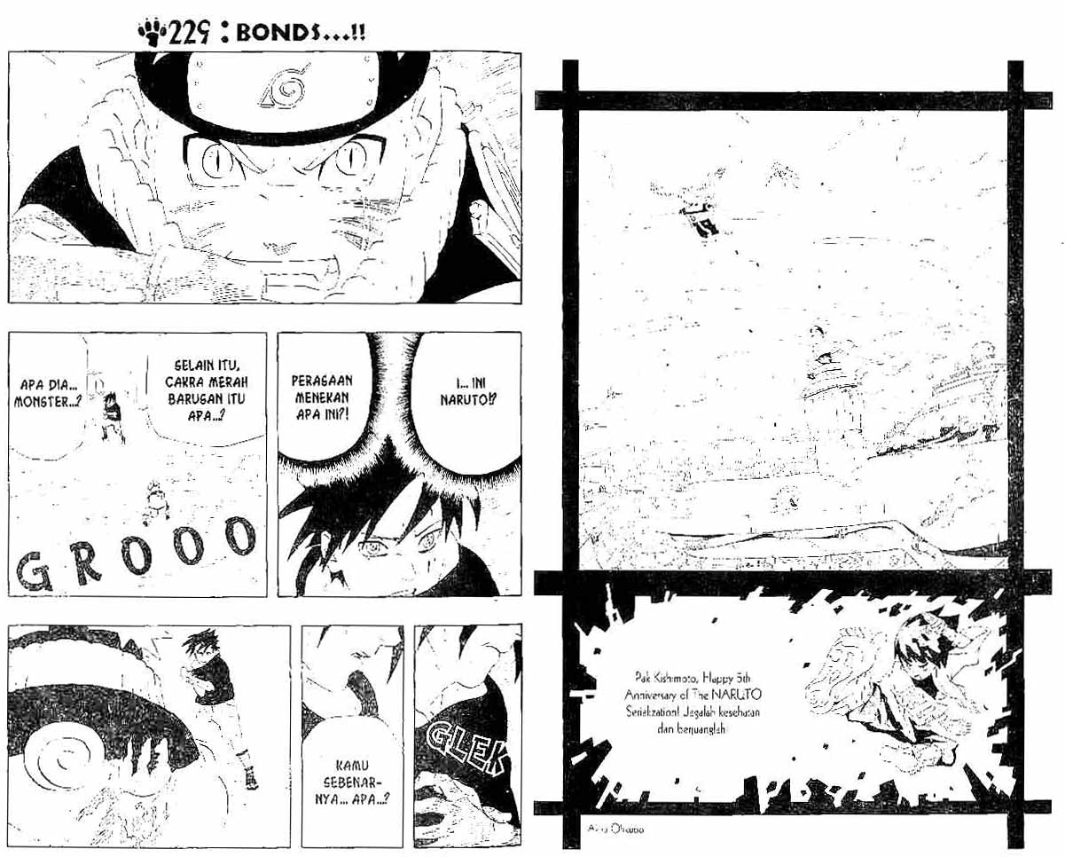 Naruto Chapter 229 Image 0