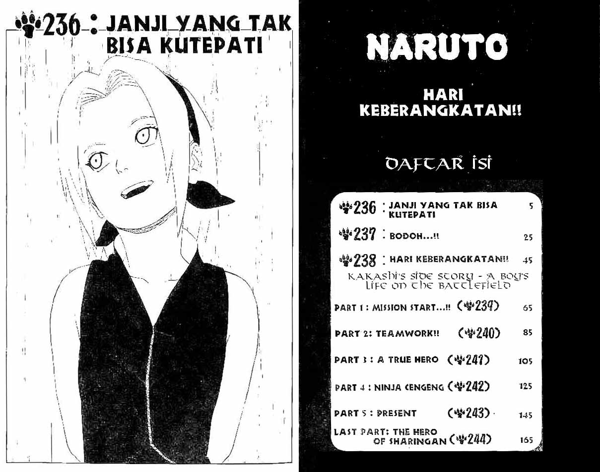 Naruto Chapter 236 Image 2