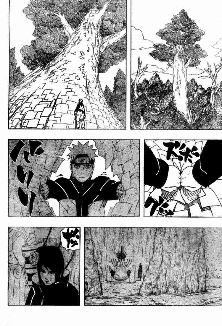 Naruto Chapter 443 Image 16