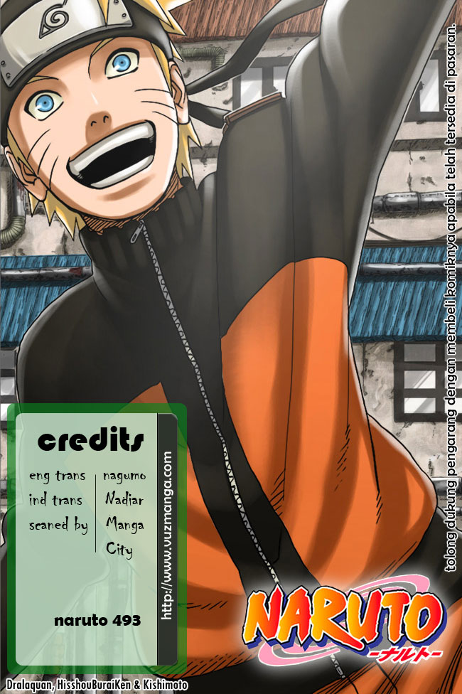 Naruto Chapter 493 Image 17