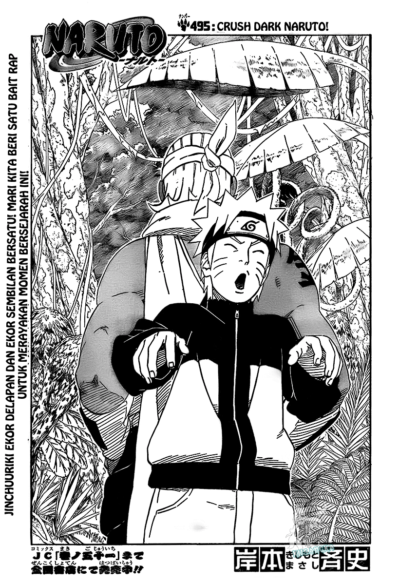 Naruto Chapter 495 Image 1