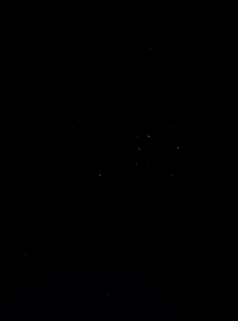 The Mafia Nanny Chapter 16 Image 2