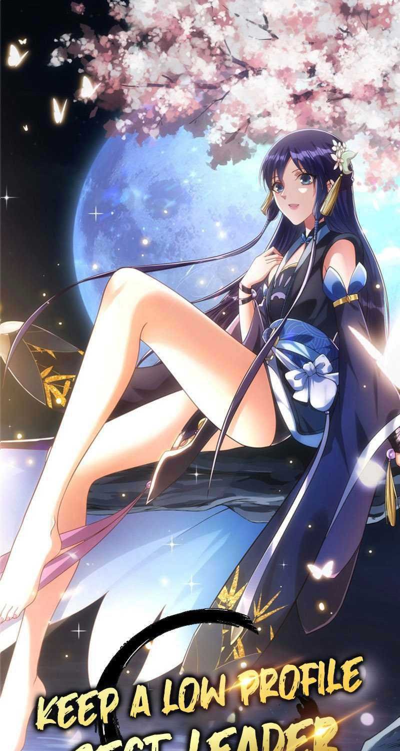 Keep A Low Profile, Sect Leader Chapter 11 Image 1