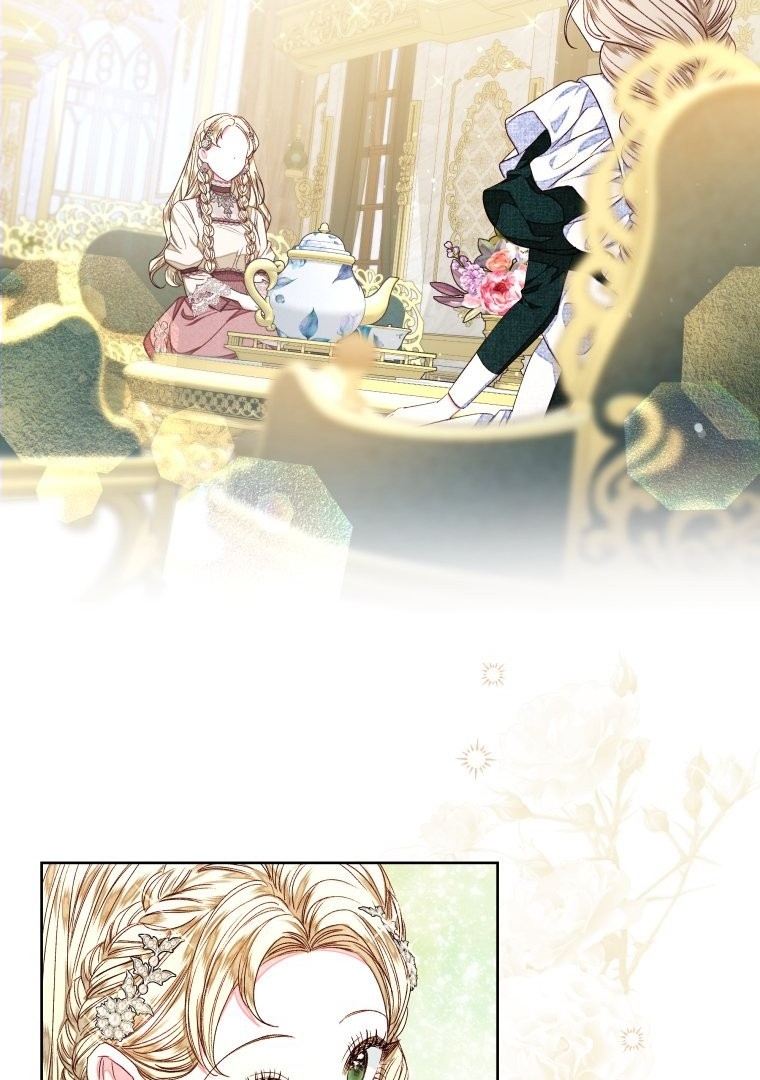 A Maid Was More of a Calling Than a Princess Chapter 27 Image 11