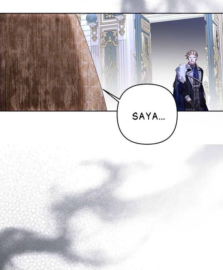 A Maid Was More of a Calling Than a Princess Chapter 30 Image 40