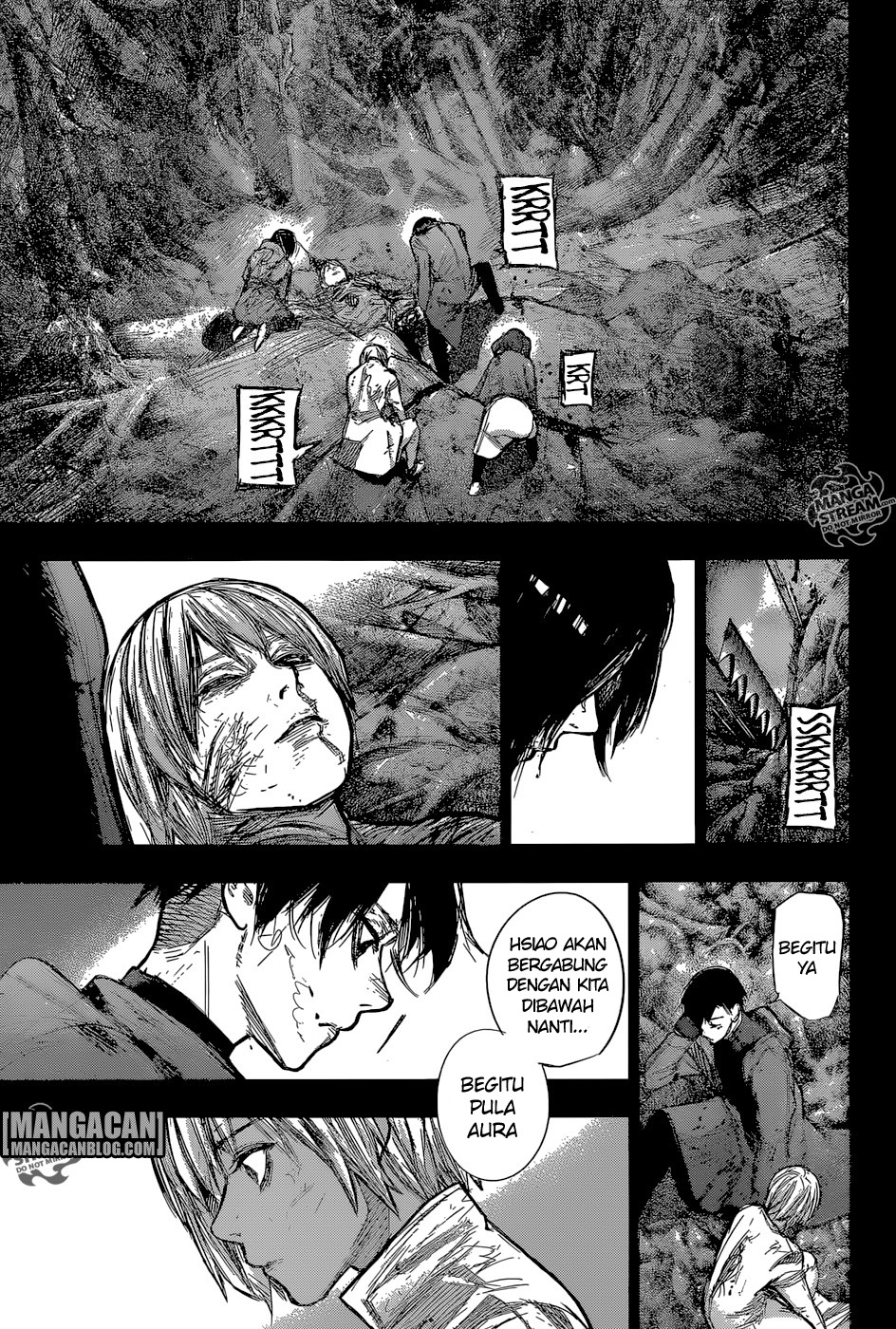 Tokyo Ghoul:re Chapter tokyo ghoulre 161 Image 5