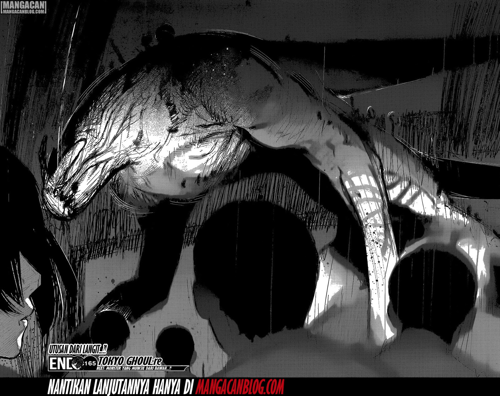 Tokyo Ghoul:re Chapter tokyo ghoulre 165 Image 18