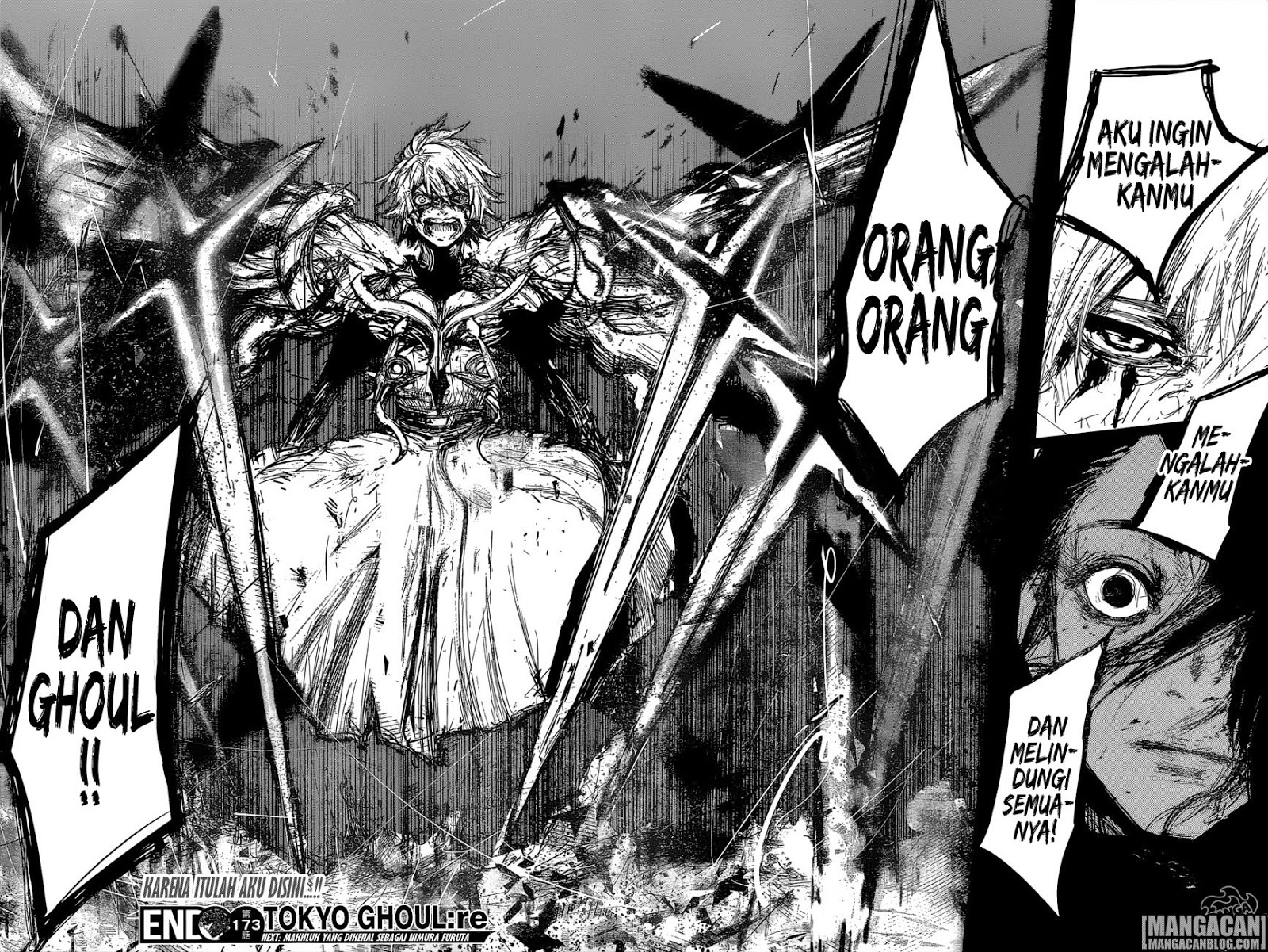 Tokyo Ghoul:re Chapter tokyo ghoulre 173 Image 18