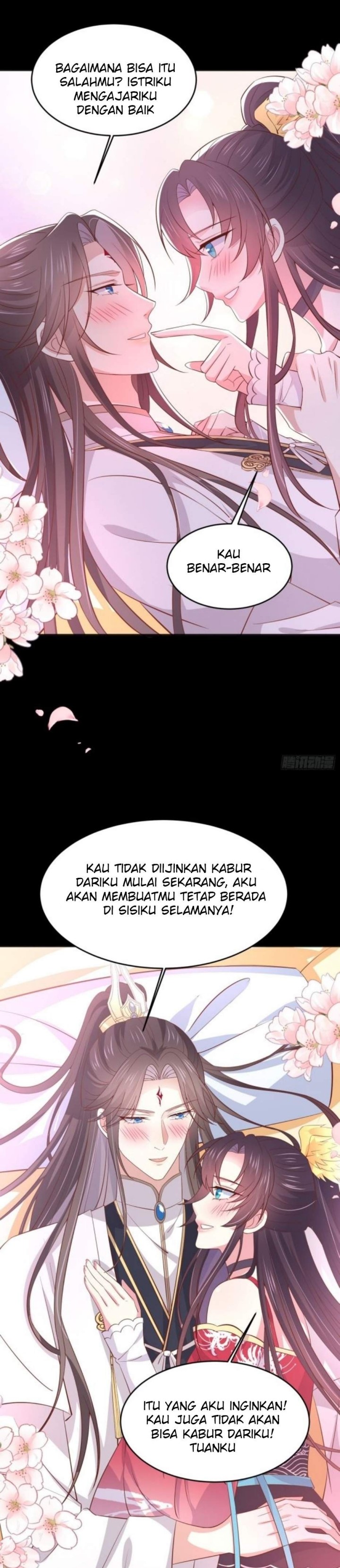 Pupillary Master Chapter 205 Image 3