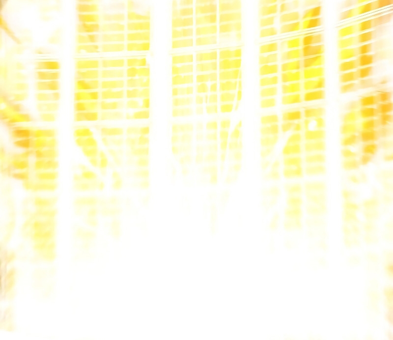 SSS-Class Suicide Hunter Chapter 52 Image 55