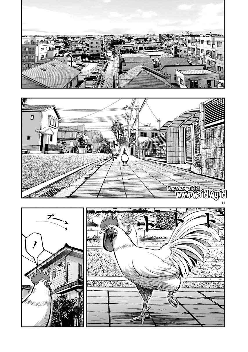 Niwatori Fighter Chapter 01 Image 13