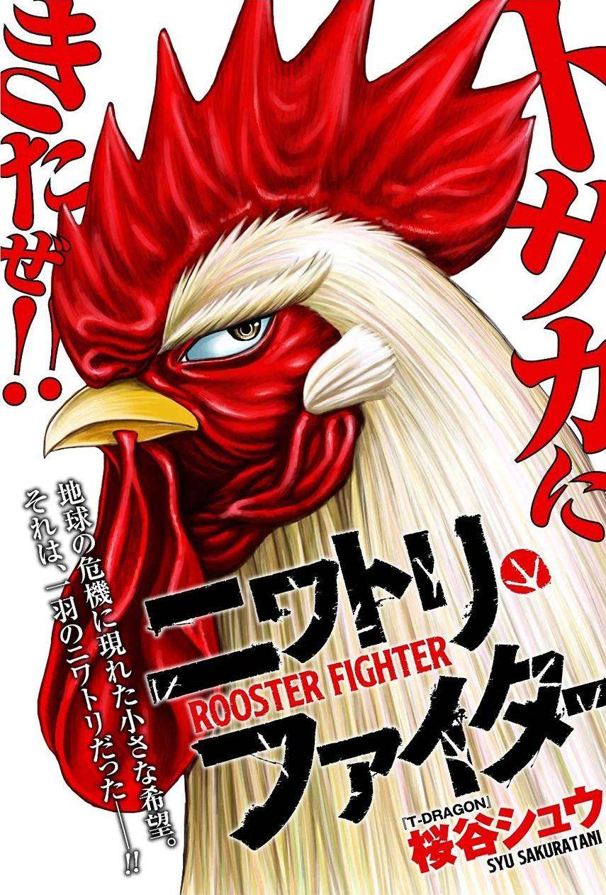 Niwatori Fighter Chapter 02 Image 1