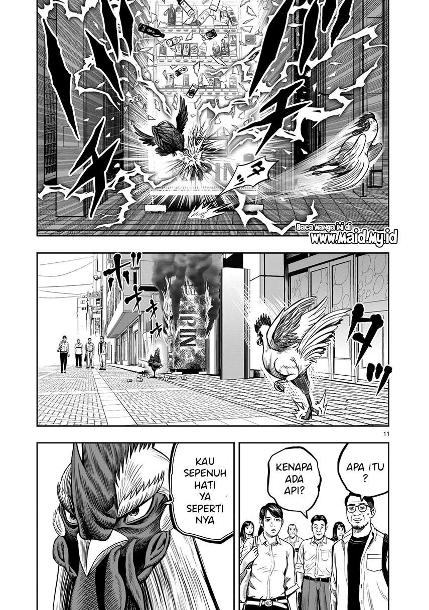 Niwatori Fighter Chapter 07 Image 7