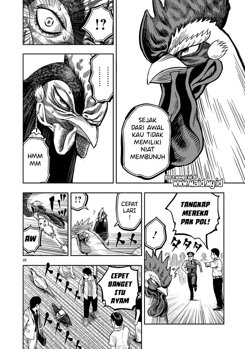 Niwatori Fighter Chapter 07 Image 17