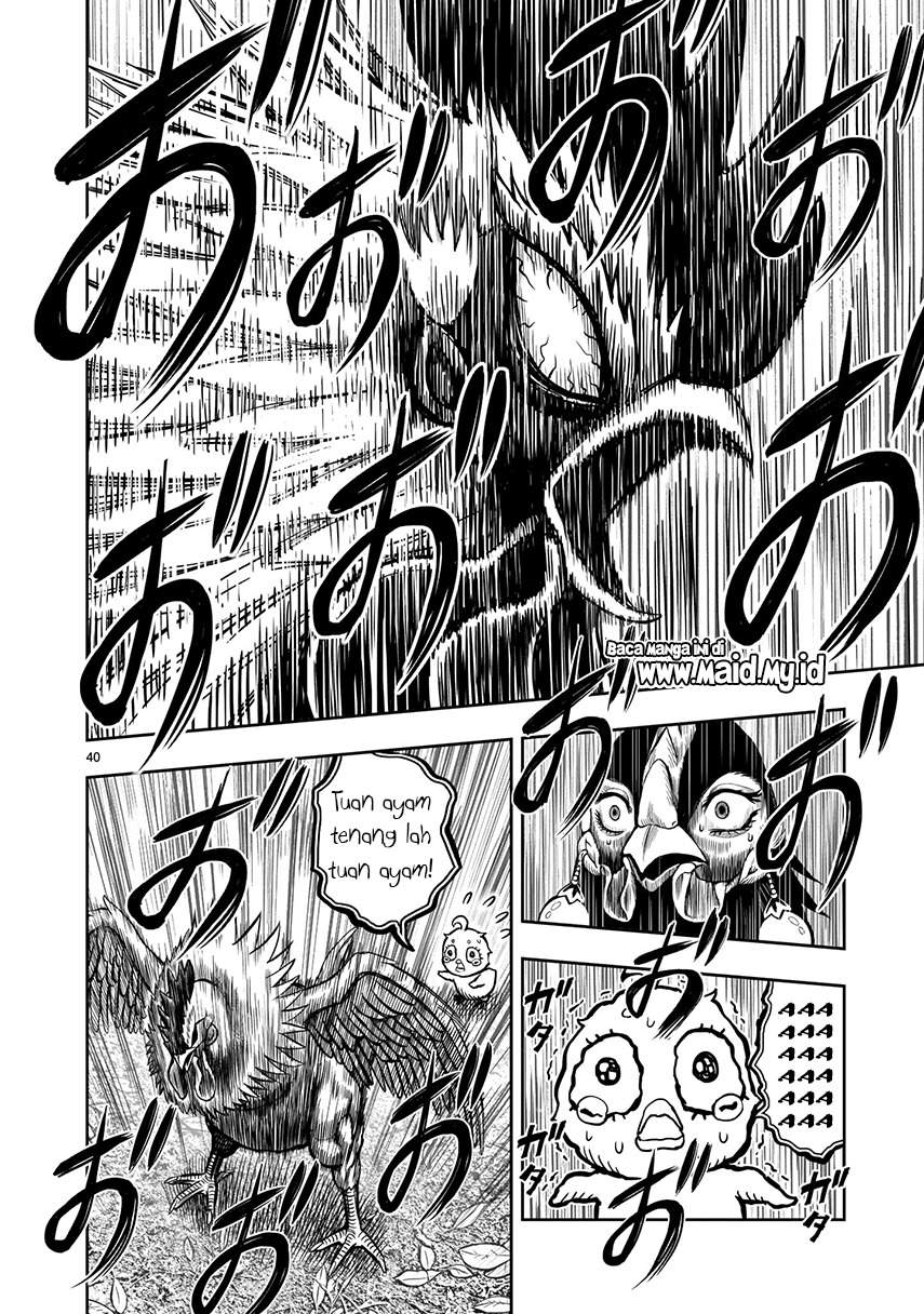 Niwatori Fighter Chapter 07 Image 35