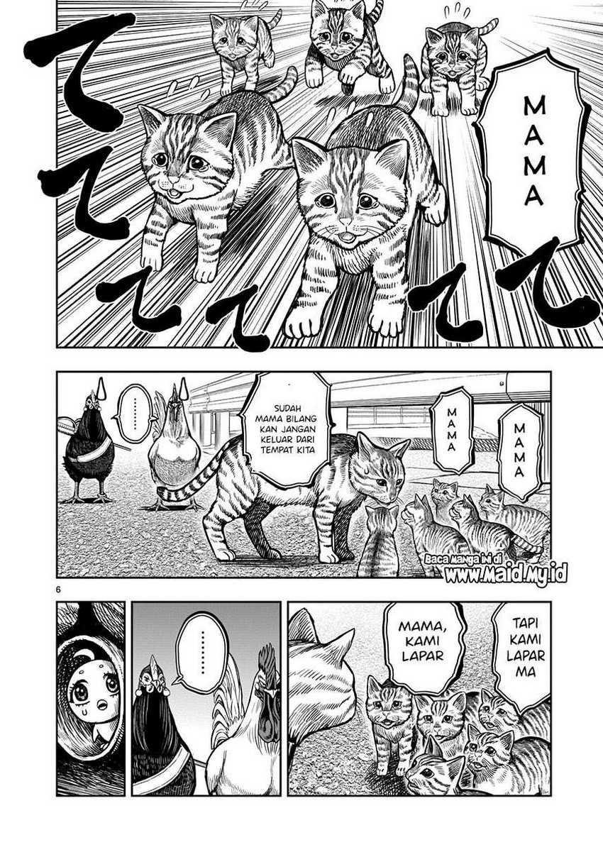 Niwatori Fighter Chapter 09 Image 7