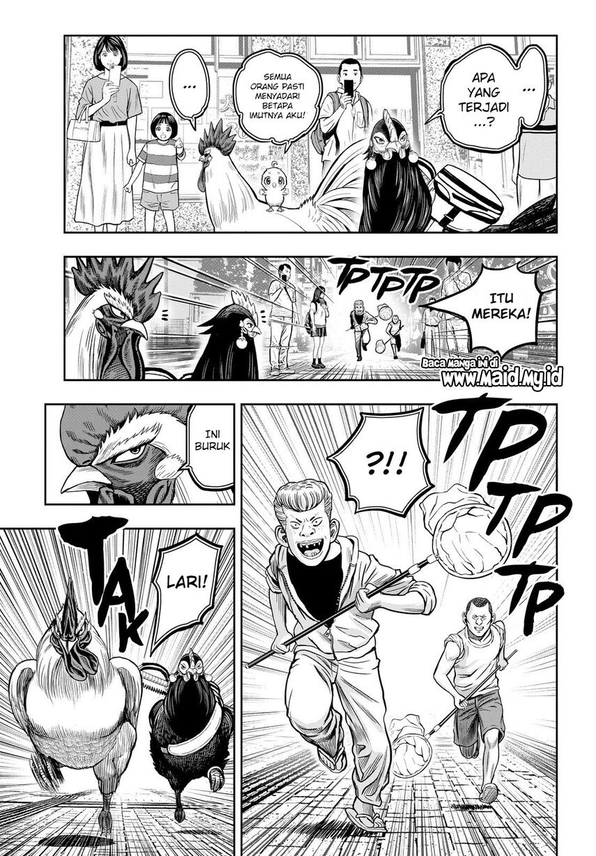 Niwatori Fighter Chapter 11 Image 4