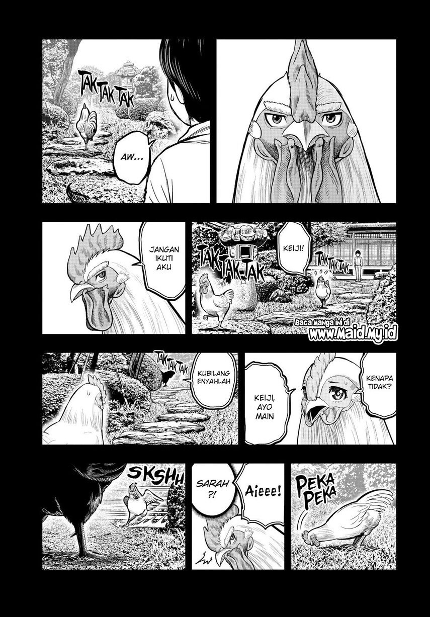 Niwatori Fighter Chapter 11 Image 18