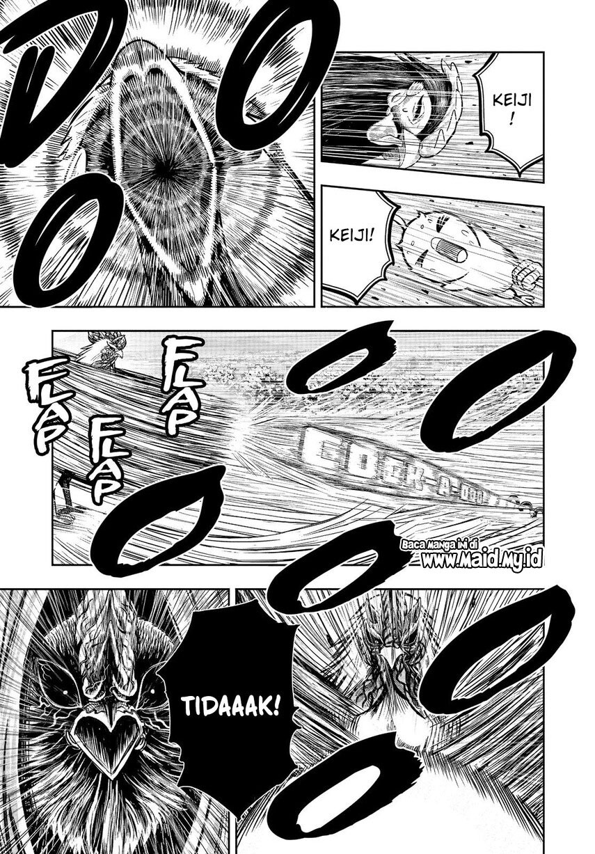 Niwatori Fighter Chapter 11 Image 43