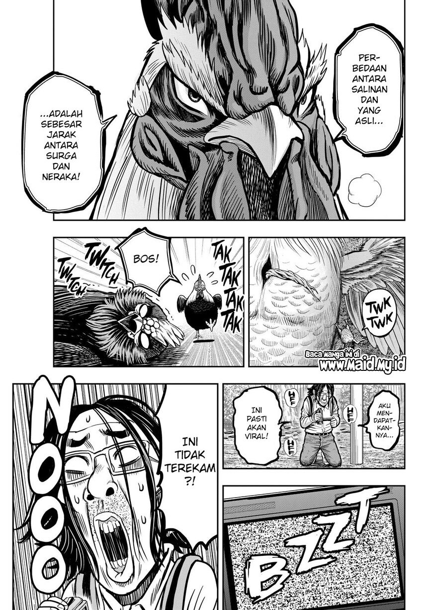 Niwatori Fighter Chapter 11 Image 46