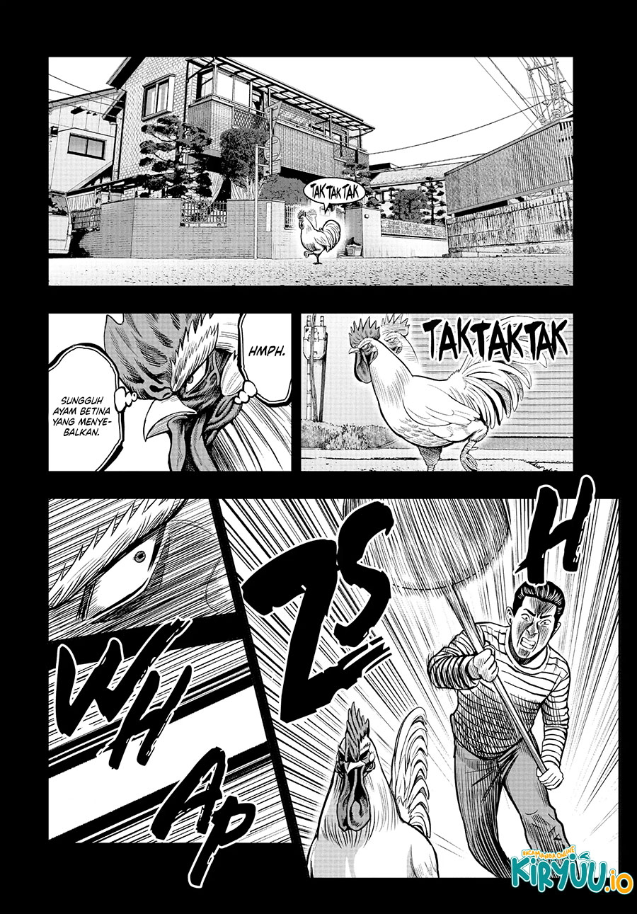 Niwatori Fighter Chapter 12 Image 8