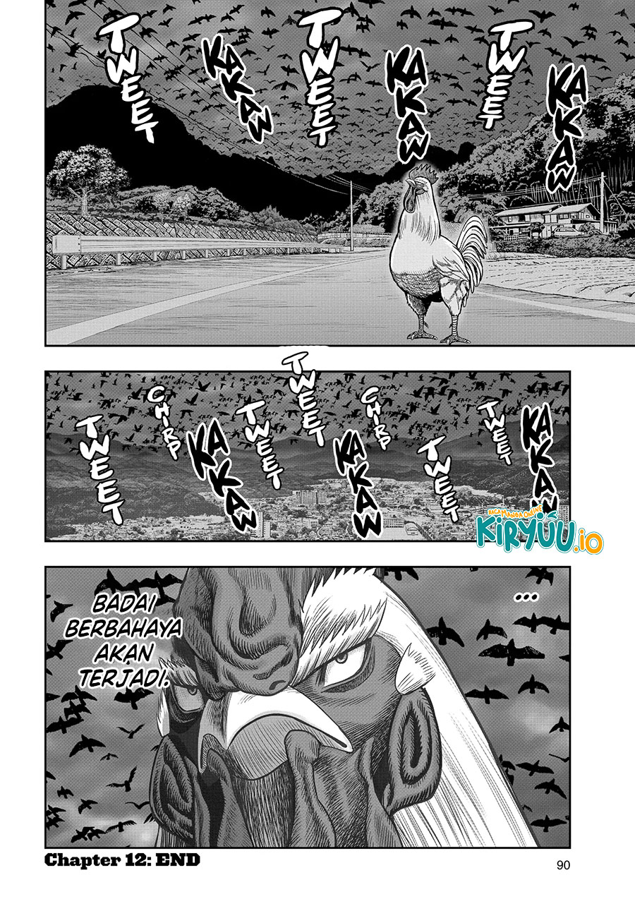 Niwatori Fighter Chapter 12 Image 37