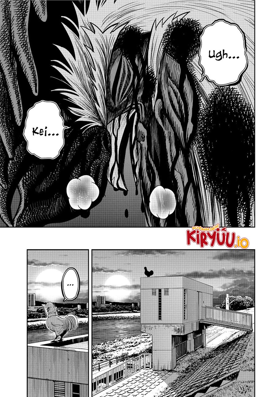 Niwatori Fighter Chapter 20 Image 3