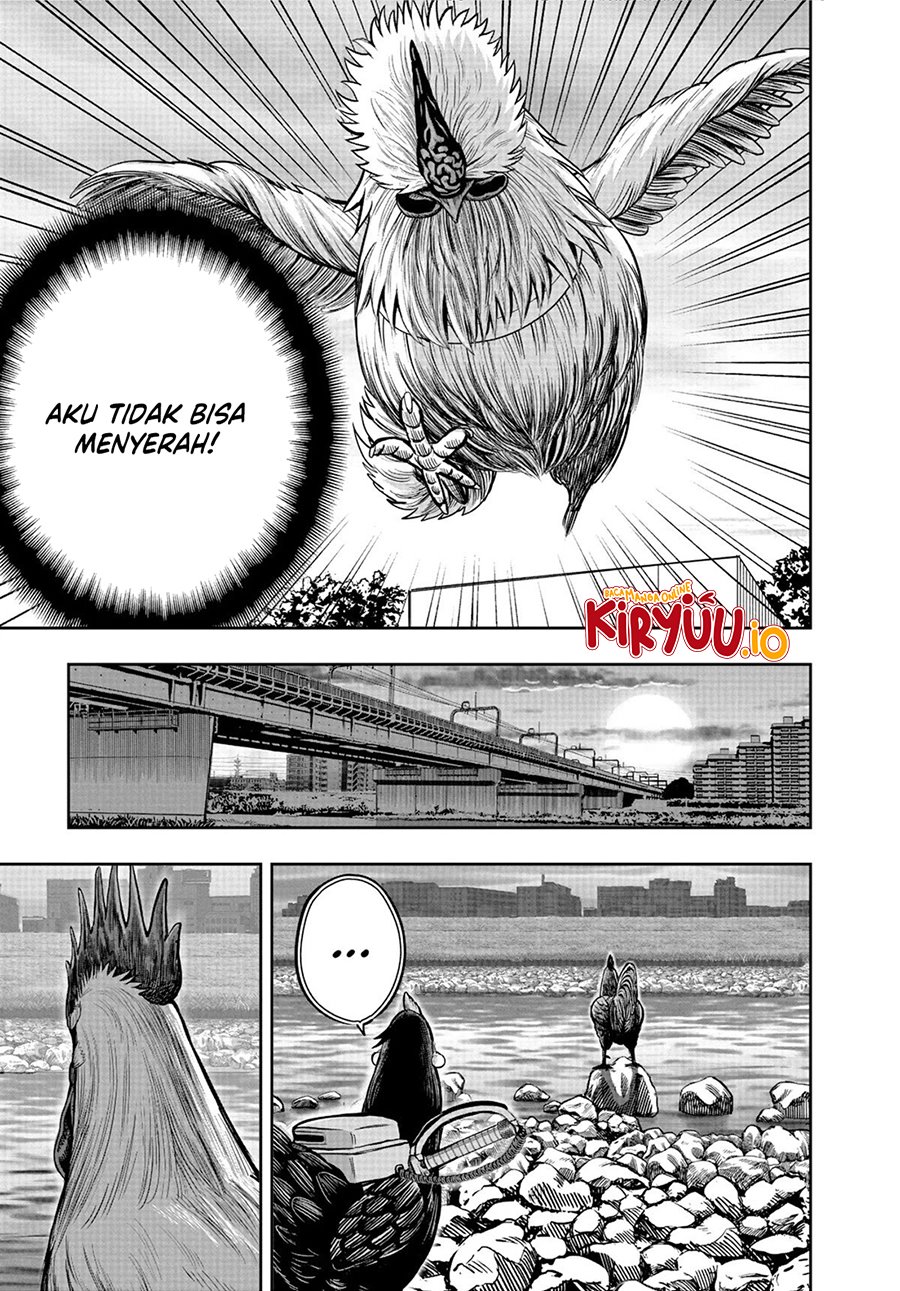 Niwatori Fighter Chapter 20 Image 5