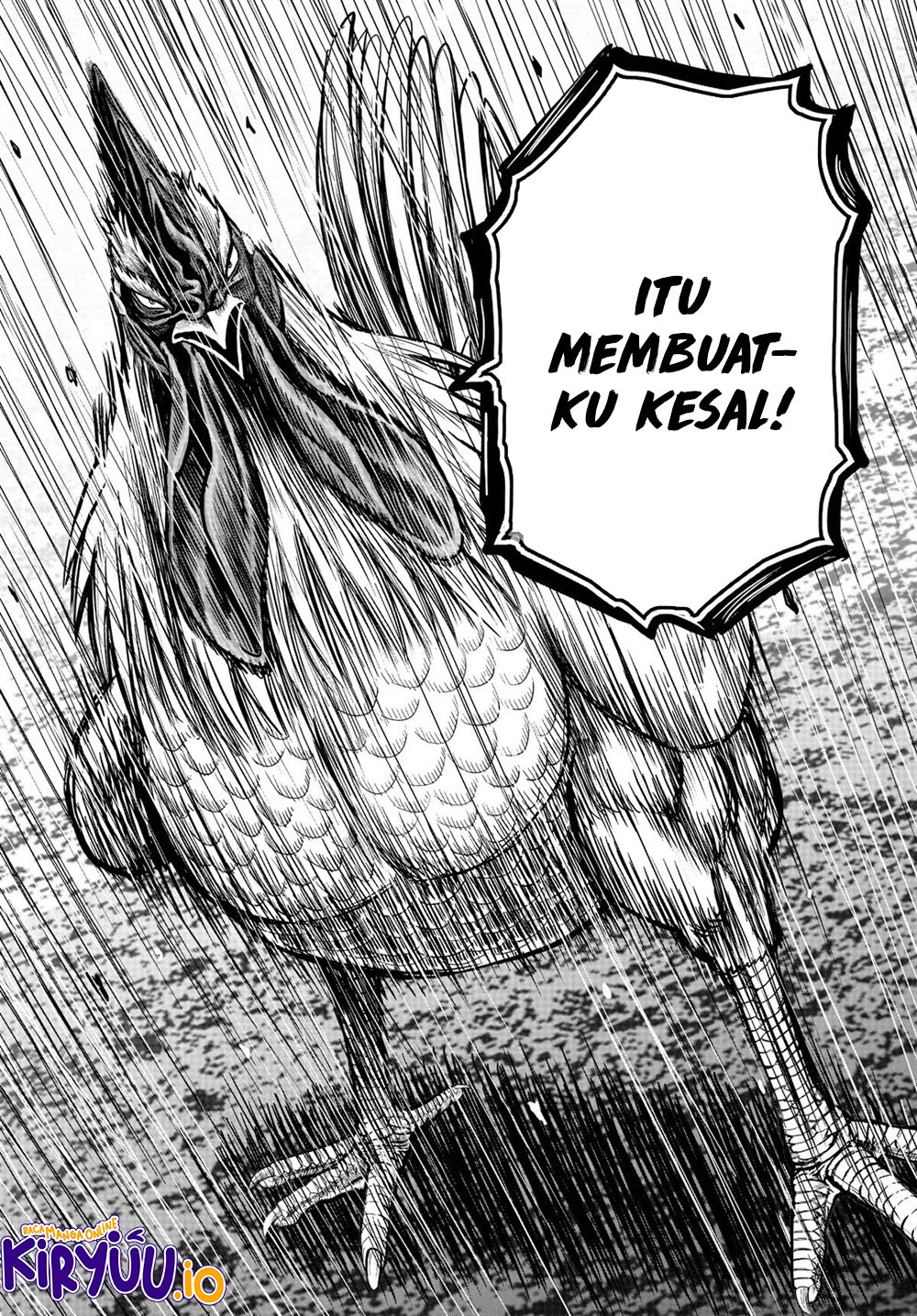 Niwatori Fighter Chapter 22 Image 13