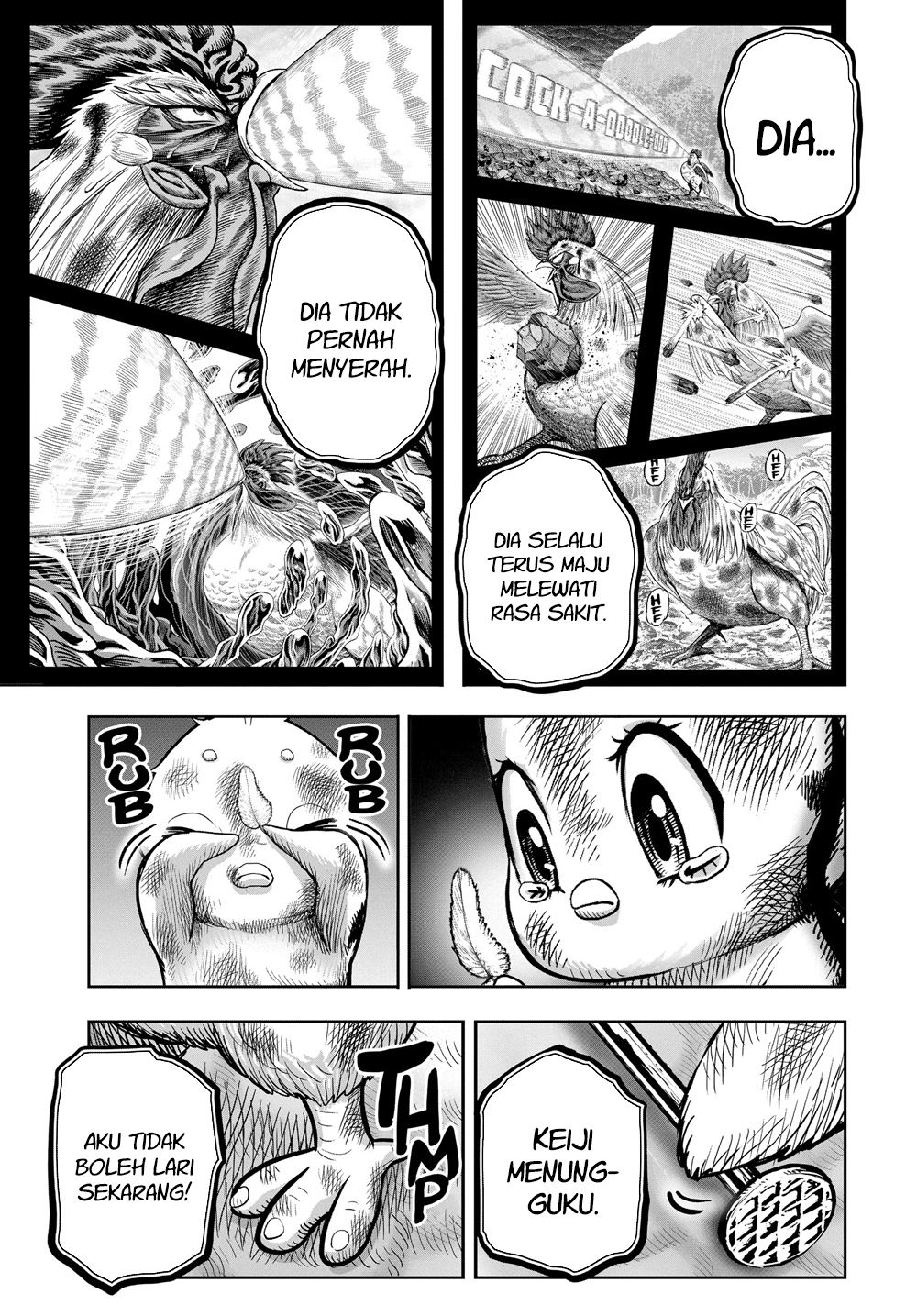 Niwatori Fighter Chapter 24 Image 43