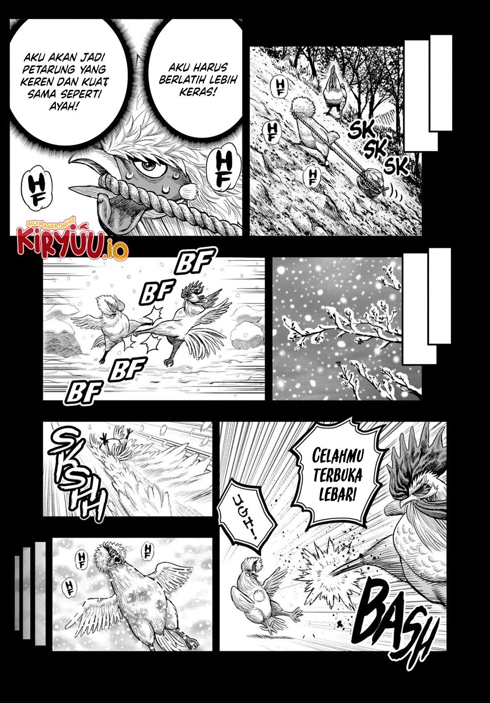 Niwatori Fighter Chapter 27 Image 15