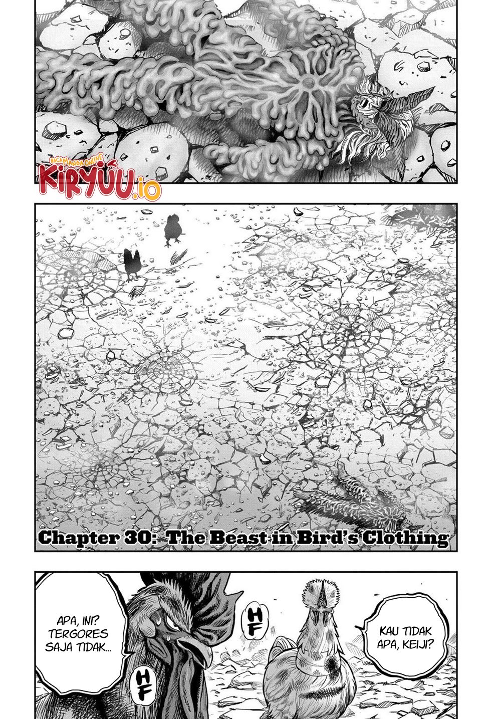 Niwatori Fighter Chapter 30 Image 1