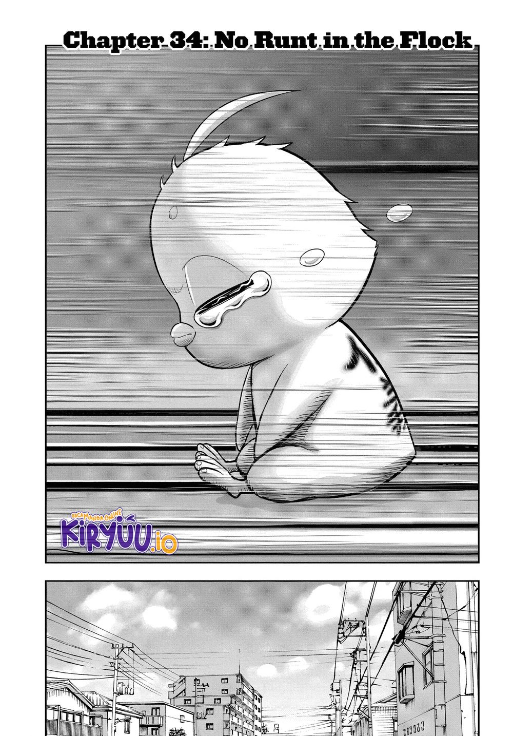 Niwatori Fighter Chapter 34 Image 2