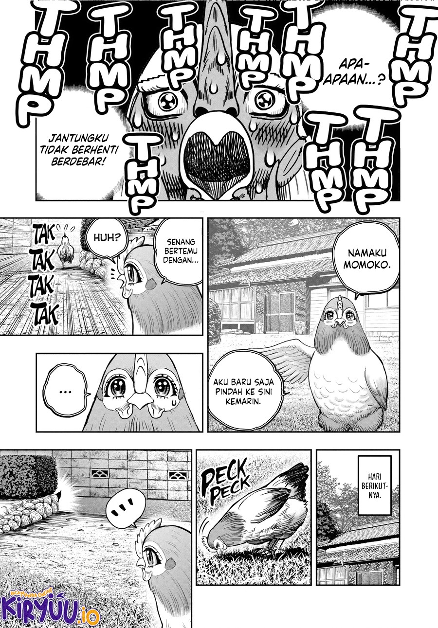 Niwatori Fighter Chapter 36.5 Image 5