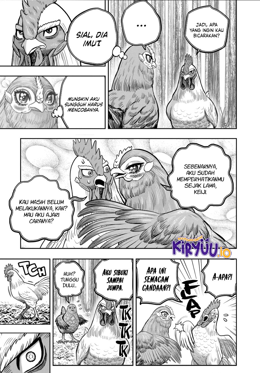 Niwatori Fighter Chapter 36.5 Image 15