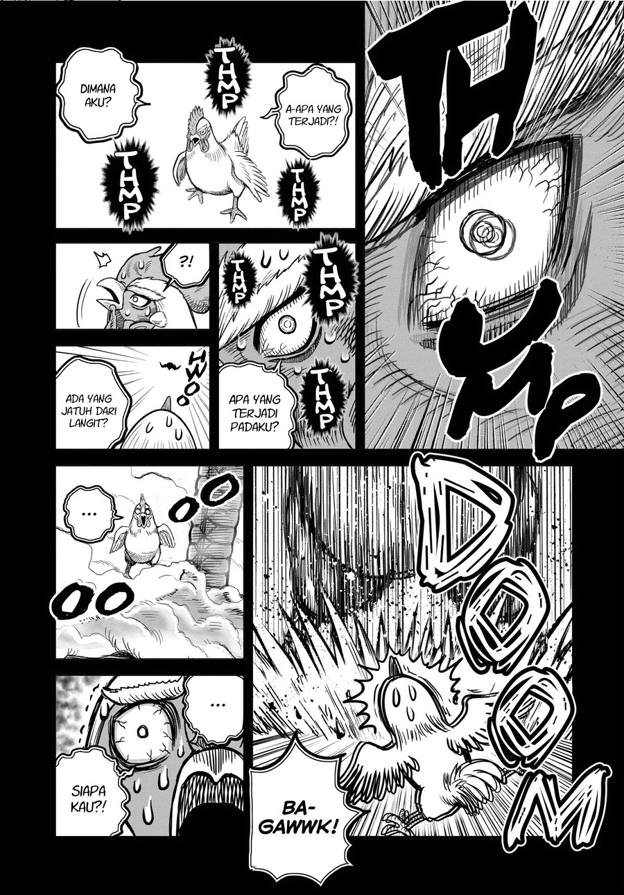 Niwatori Fighter Chapter 36.5 Image 16