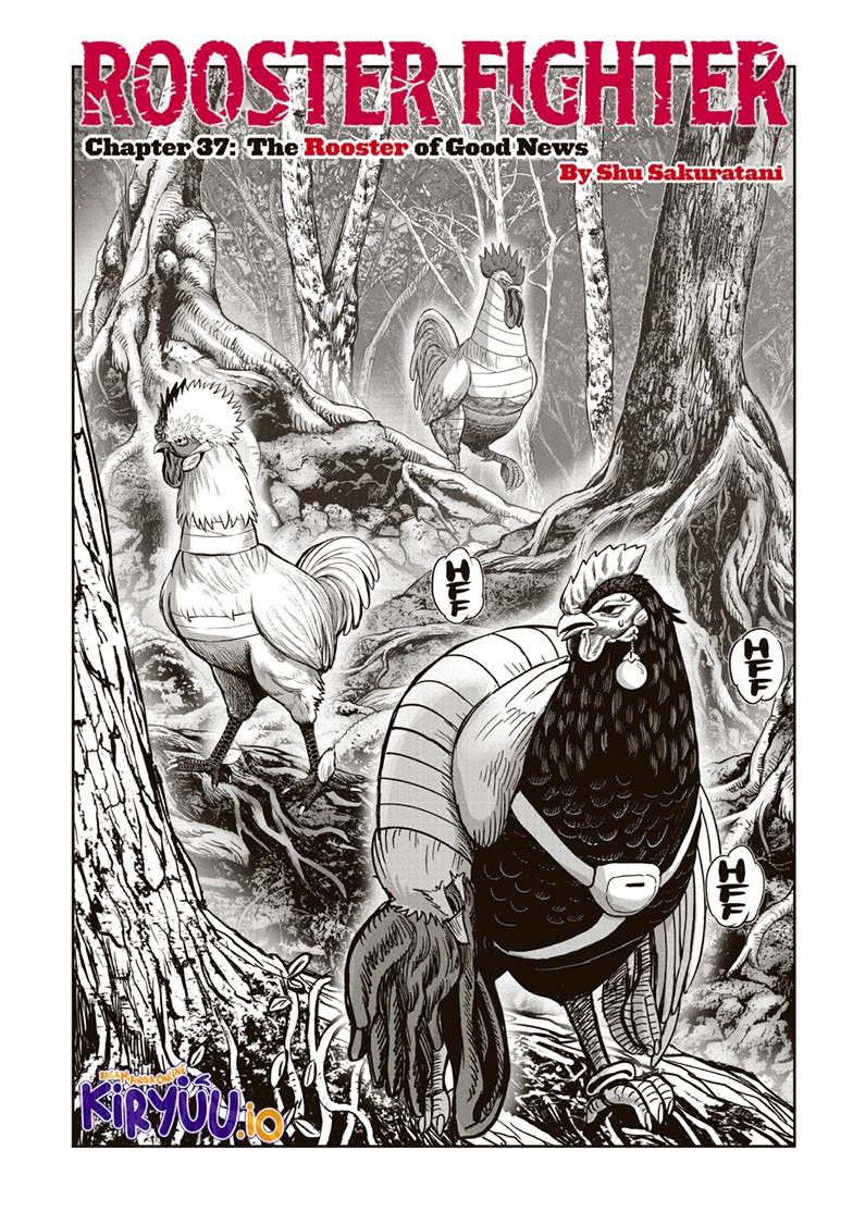 Niwatori Fighter Chapter 37 Image 1